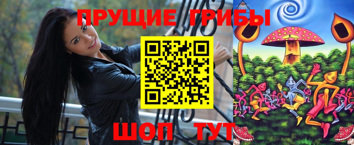 Псилоцибиновые грибы Psilocybe Петропавловск-Камчатский