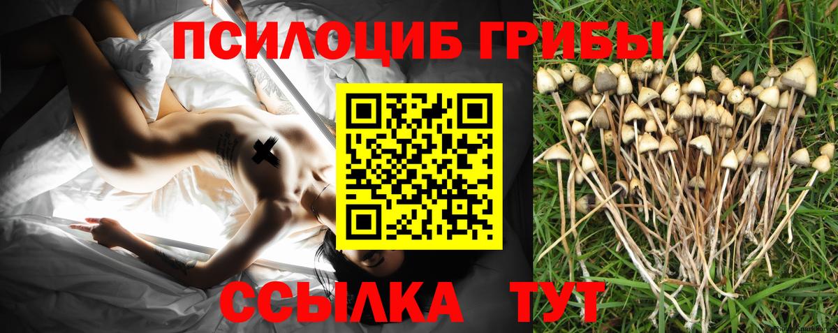 КОКАИН  ТГК  НБОМе  Канабис  ГАШИШ  Петропавловск-Камчатский  Вход с VPN  МЕФ   Канабис 