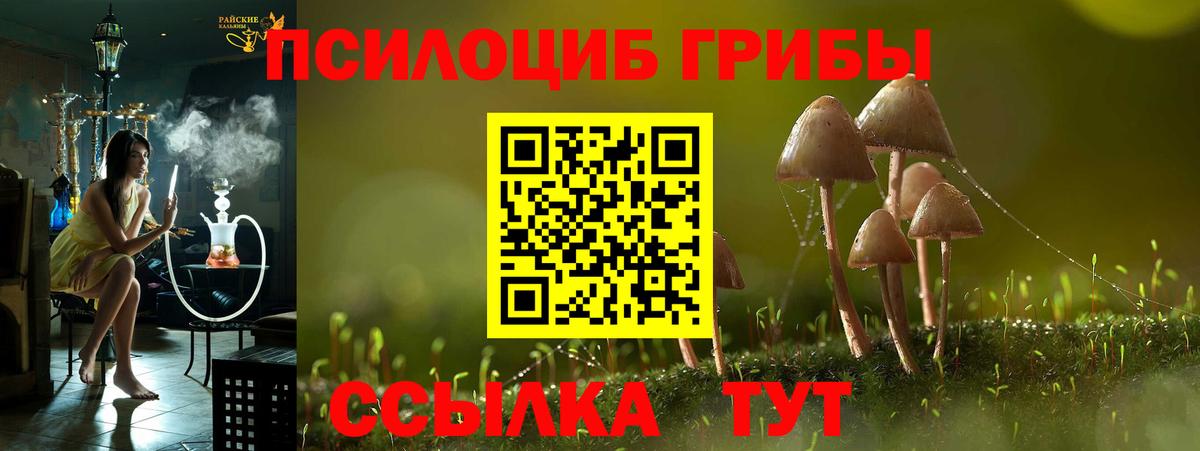 Петропавловск-Камчатский  Псилоцибиновые грибы Psilocybine cubensis  Вход с VPN 